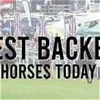 horses to bet on today